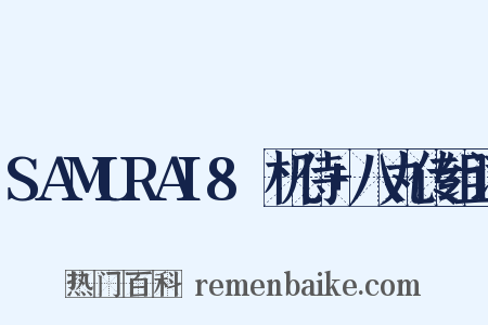 SAMURAI8～机侍+八丸传组词是什么意思的图片